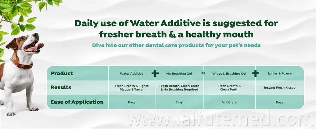 Brighthomey 36 Inch Collapsible Travel Crate for Medium Large Dogs